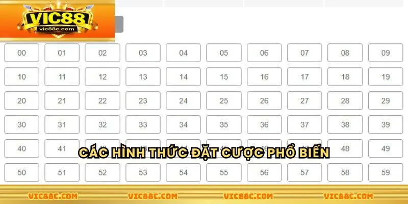 Biểu đồ các kiểu đặt cược phổ biến và tỷ lệ trúng