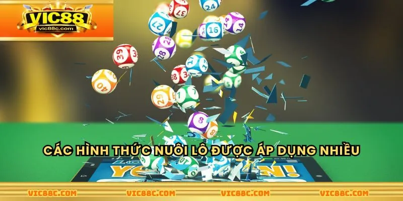 Các hình thức nuôi lô ngày được áp dụng nhiều nhất