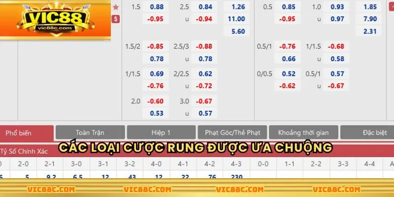 Các loại cược rung được ưa chuộng nhất hiện nay