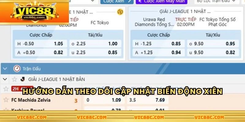 Hướng dẫn theo dõi cập nhật biến động xiên