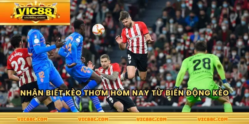 Nhận biết kèo thơm hôm nay đặc biệt từ biến động kèo