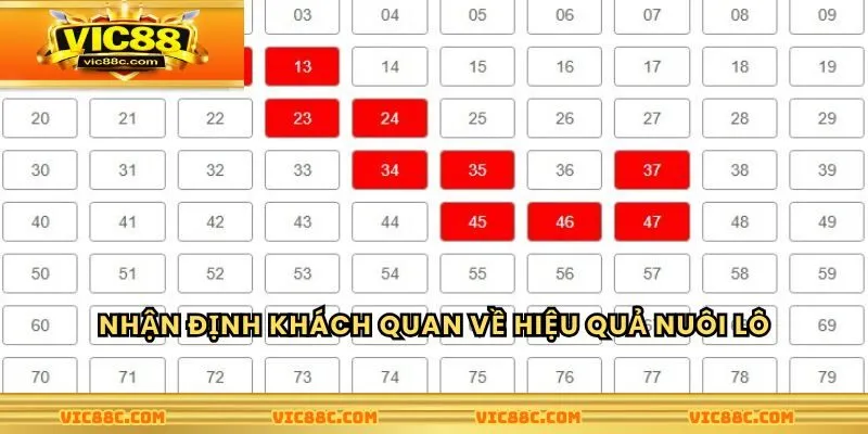 Nhận định khách quan về hiệu quả nuôi lô