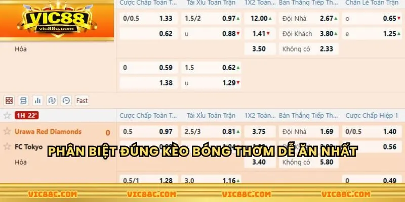 Phân biệt đúng kèo bóng thơm dễ ăn nhất hiện tại