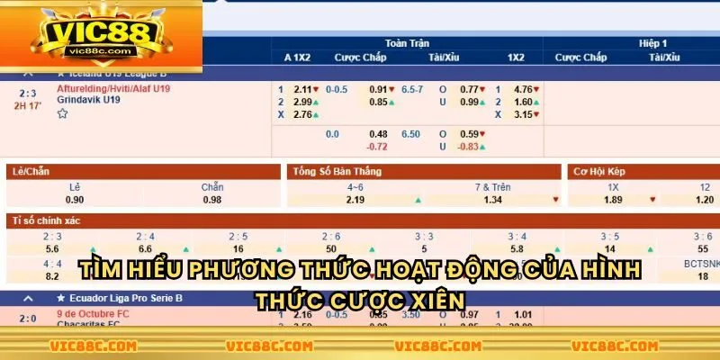 Tìm hiểu phương thức hoạt động cược tại nhà cái