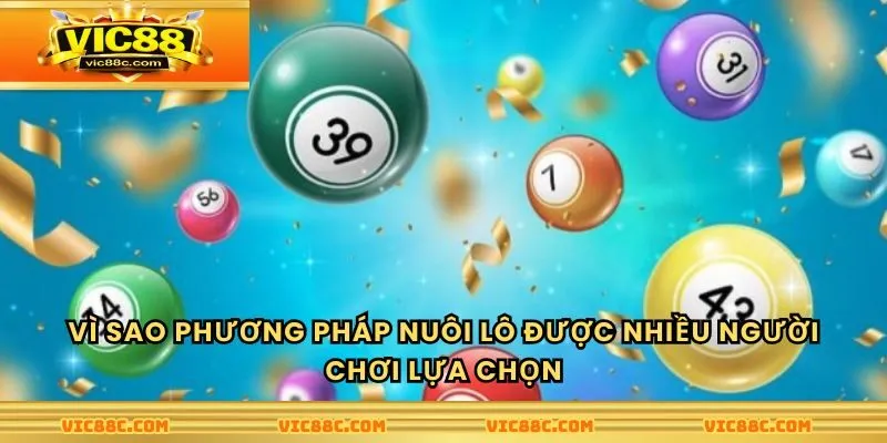Vì sao phương pháp nuôi lô được nhiều người chơi lựa chọn